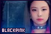 Blackpink Fanlisting